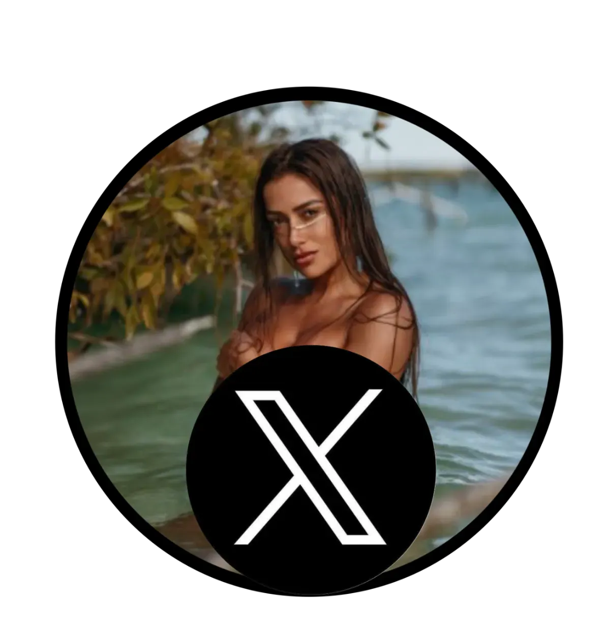 X (Twitter)